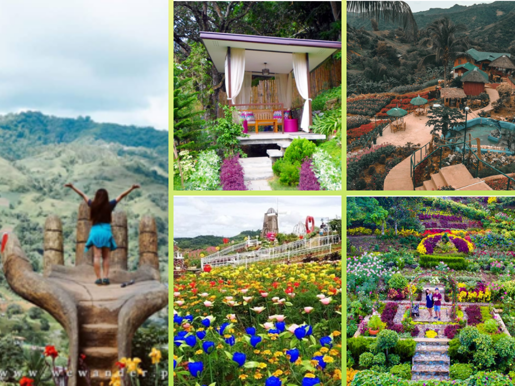 A Must Visit Flower Gardens In Cebu Philippines Tv